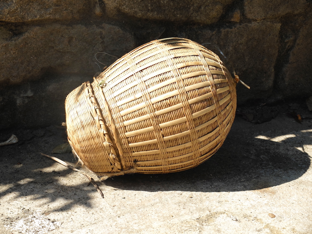 A basket designed for catching wild bees